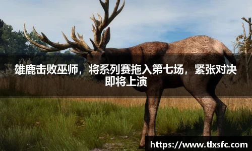 雄鹿击败巫师，将系列赛拖入第七场，紧张对决即将上演