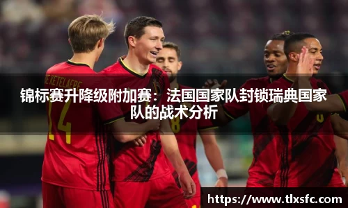 锦标赛升降级附加赛：法国国家队封锁瑞典国家队的战术分析