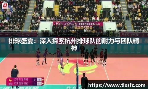 排球盛宴：深入探索杭州排球队的耐力与团队精神