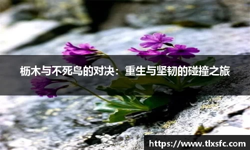 枥木与不死鸟的对决：重生与坚韧的碰撞之旅