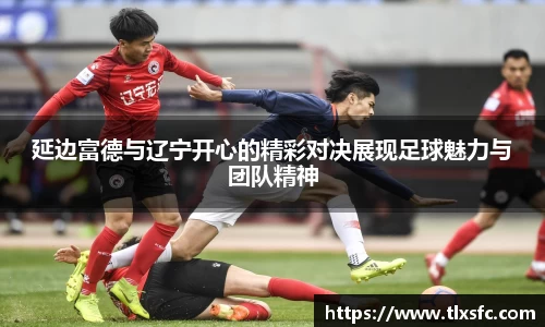 延边富德与辽宁开心的精彩对决展现足球魅力与团队精神